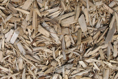 biomass boilers Templemans Ash